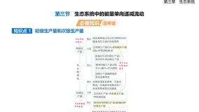 高中生物浙科版 (2019)选择性必修2 生物与环境生态系统中的能量单向递减流动一等奖课件ppt