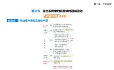 3.3生態(tài)系統(tǒng)中的能量單向遞減流動(dòng)知識(shí)點(diǎn)串講課件+分層訓(xùn)練-浙科版高二上冊(cè)生物（選必二）