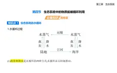 3.4生態(tài)系統(tǒng)中的物質(zhì)能被循環(huán)利用知識(shí)點(diǎn)串講課件+分層訓(xùn)練-浙科版高二上冊(cè)生物（選必二）