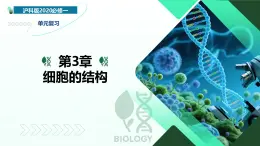 第3章 細(xì)胞的結(jié)構(gòu)（復(fù)習(xí)課件）-2025-2026學(xué)年高中生物必修1（滬科級(jí)版2020）