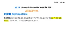 1.2純凈的目標微生物可通過分離和純化獲得知識點串講課件+分層訓練-浙科版高二上冊生物（選必三）