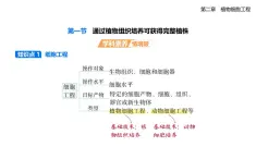 2.1通過植物組織培養(yǎng)可獲得完整植株知識點串講課件+分層訓練-浙科版高二上冊生物（選必三）