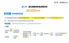3.2通過細胞核移植克隆動物知識點串講課件+分層訓練-浙科版高二上冊生物（選必三）