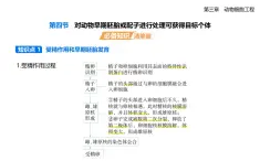 3.4對動物早期胚胎或配子進行處理可獲得目標個體知識點串講課件+分層訓練-浙科版高二上冊生物（選必三）