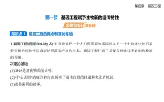 4.1基因工程賦予生物新的遺傳特性知識點串講課件+分層訓練-浙科版高二上冊生物（選必三）