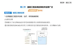 4.2基因工程及其延伸技術應用廣泛知識點串講課件+分層訓練-浙科版高二上冊生物（選必三）