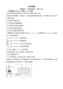 山西大学附属中学2025-2026学年高三上学期8月月考生物试卷（Word版附答案）