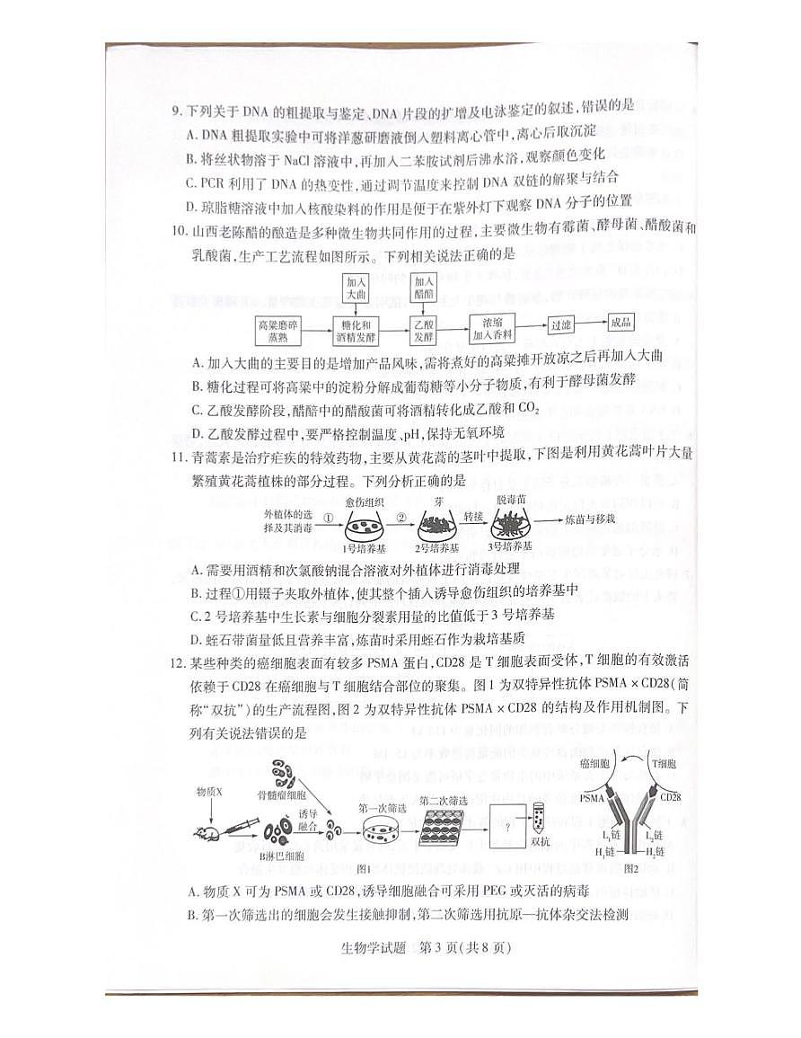 河北省承德市2024-2025学年高二下学期7月期末生物试题(扫描版,有解析)第3页