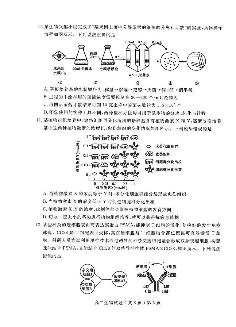 山东省聊城市2024-2025学年高二下学期期末考试 生物 PDF版含答案第3页