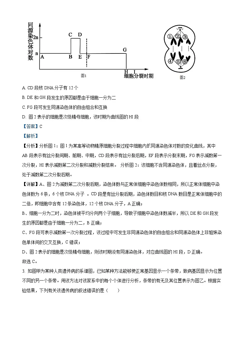 精品解析:陕西省渭南市大荔县2024-2025学年高一下学期期末质量检测生物试卷(解析版)第2页