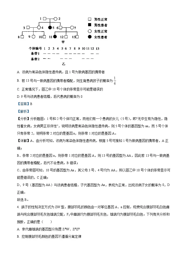 精品解析:陕西省渭南市大荔县2024-2025学年高一下学期期末质量检测生物试卷(解析版)第3页