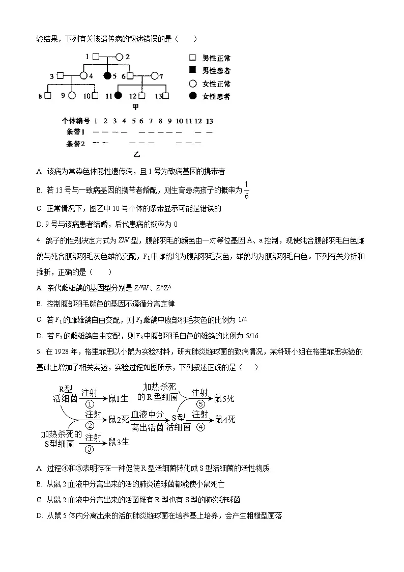 精品解析:陕西省渭南市大荔县2024-2025学年高一下学期期末质量检测生物试卷(原卷版)第2页