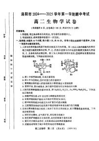 河南省洛阳市2024-2025学年高二上学期11月期中考试生物试卷+
