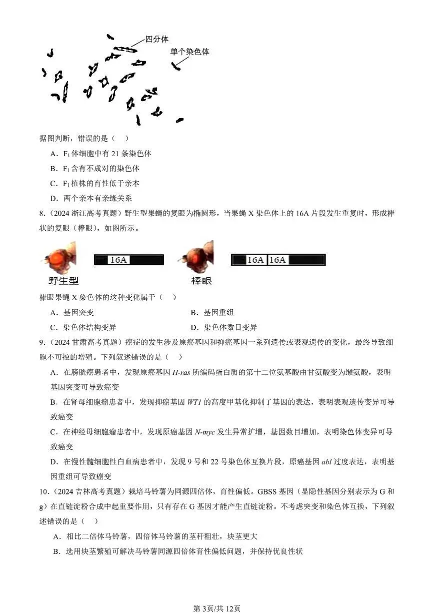 2023-2025全国高考真题生物汇编:染色体变异 有答案解析第3页