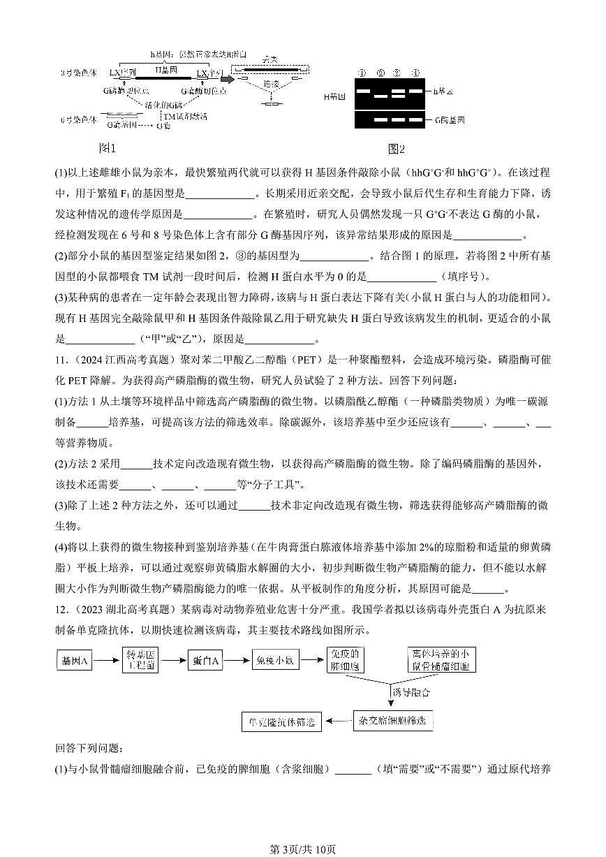 2023-2025全国高考真题生物汇编:重组DNA技术的基本工具 有答案解析第3页