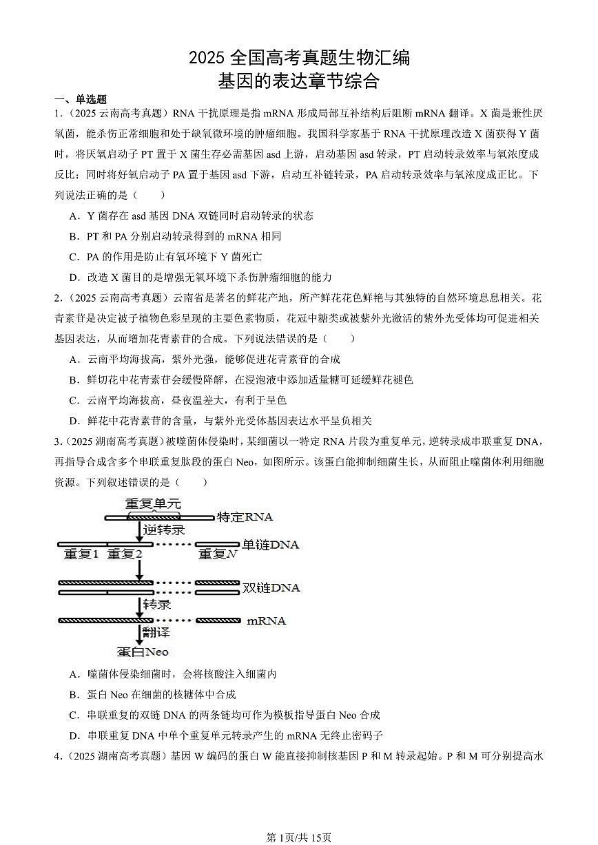 2025全国高考真题生物汇编:基因的表达章节综合 有答案解析第1页