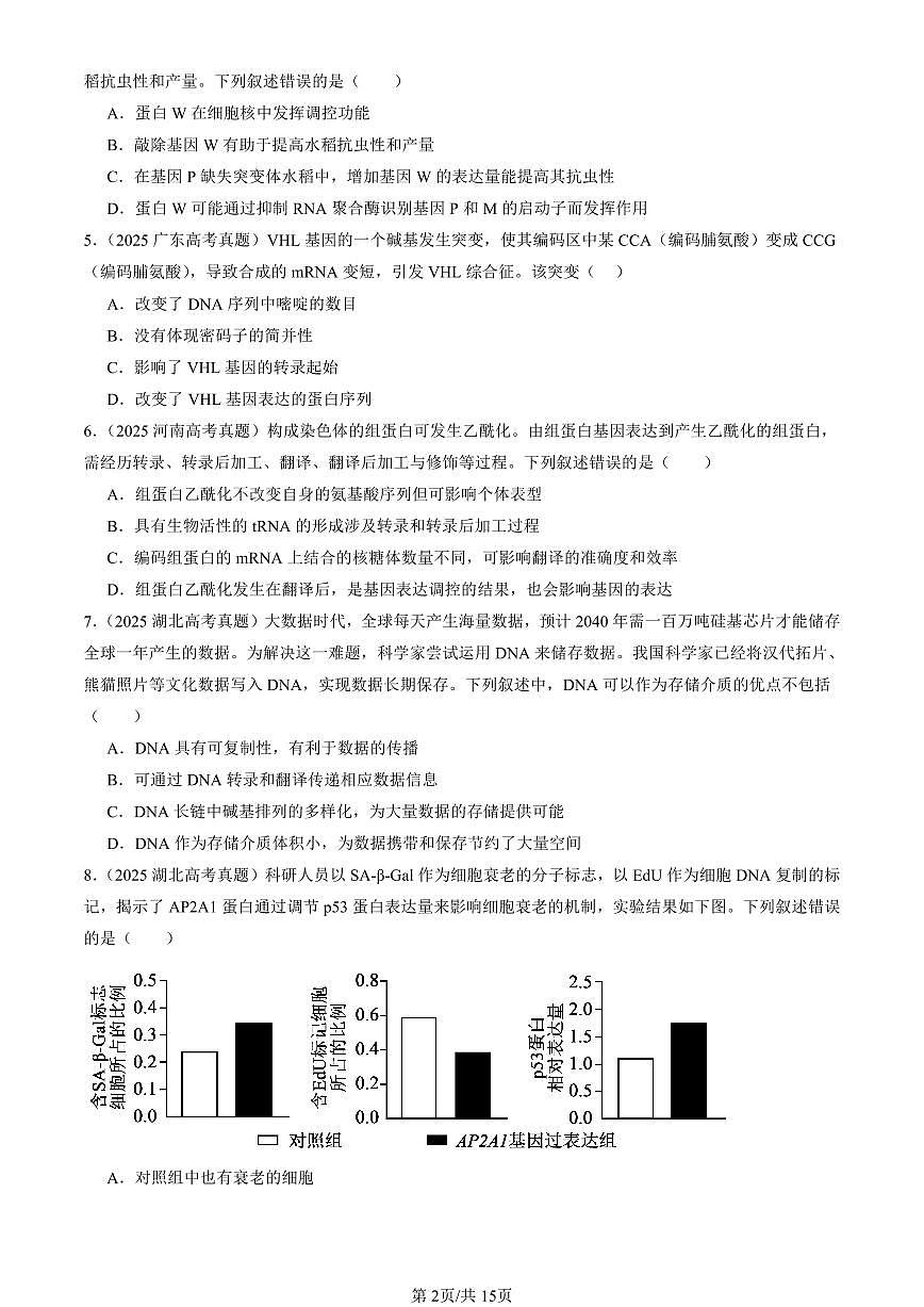 2025全国高考真题生物汇编:基因的表达章节综合 有答案解析第2页
