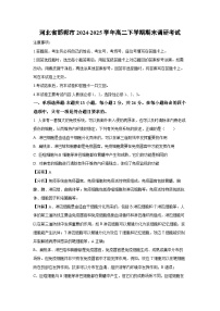 河北省邯郸市2024 2025学年高二下学期期末调研考试生物试卷（解析版）