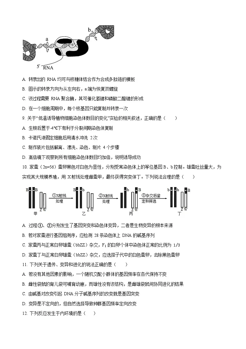 江苏省天一中学2024-2025学年高一下学期期末考试生物试卷第3页