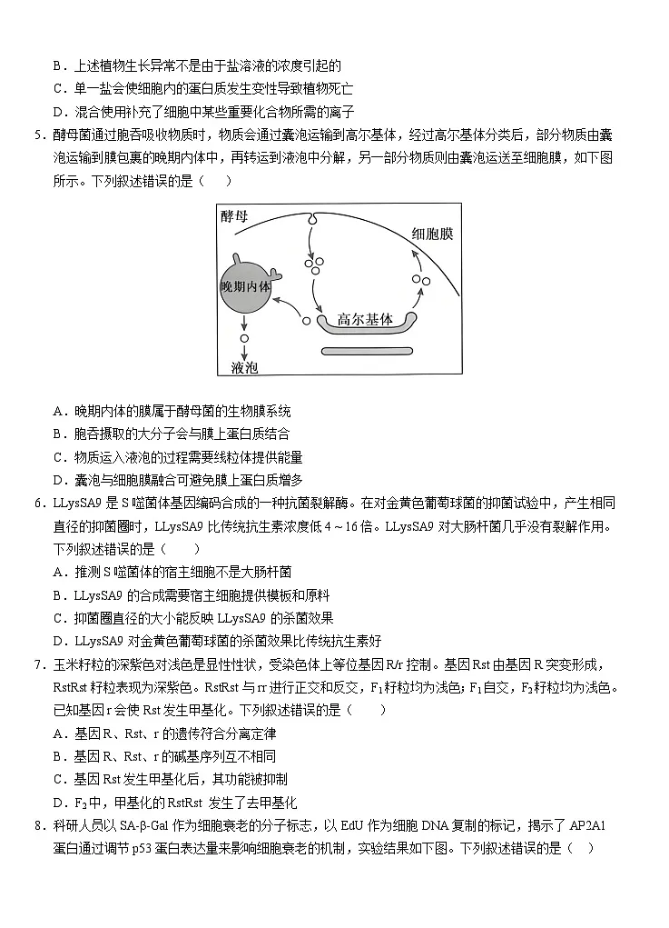 湖北省荆州市沙市中学2025-2026学年高三上学期8月月考生物试卷(Word版附答案)第2页