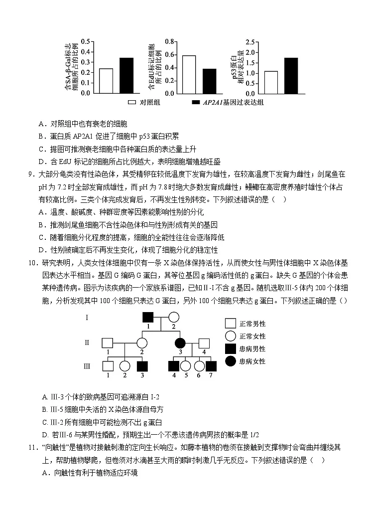 湖北省荆州市沙市中学2025-2026学年高三上学期8月月考生物试卷(Word版附答案)第3页