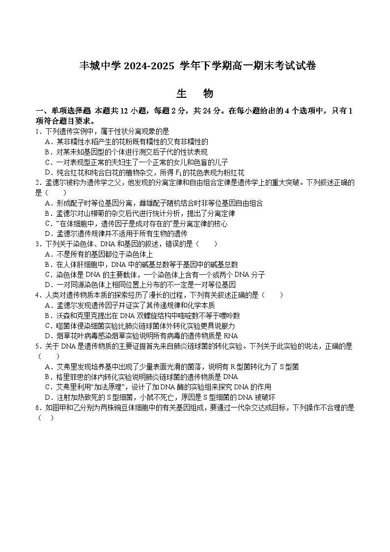 江西省丰城中学2024-2025学年高一下学期期末考试生物试卷(Word版附答案)第1页