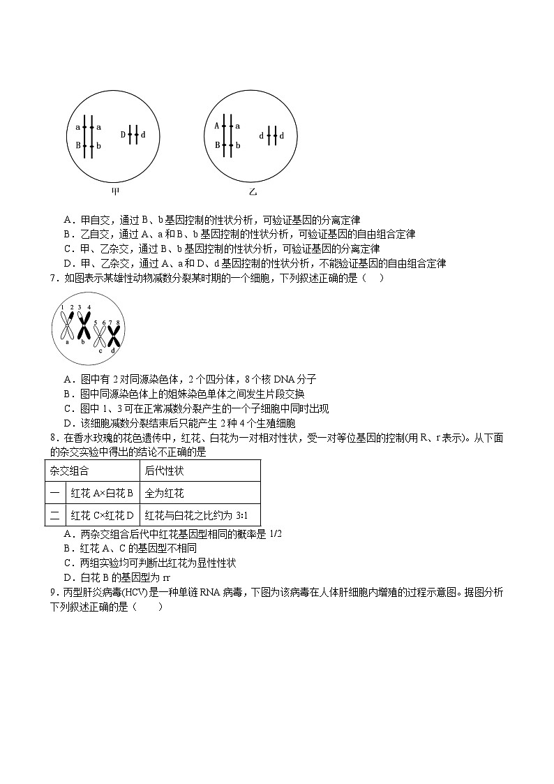 江西省丰城中学2024-2025学年高一下学期期末考试生物试卷(Word版附答案)第2页