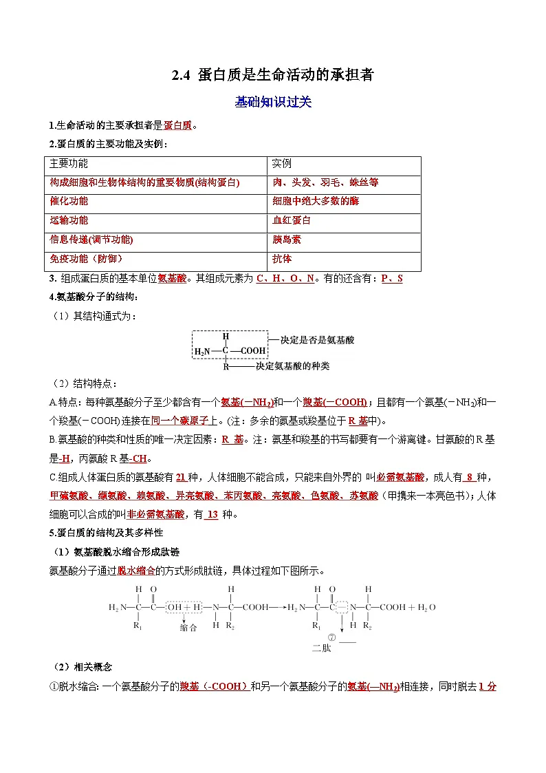 【高效课堂】高中生物2025-2026学年同步层级训练:2.4 蛋白质是生命活动的主要承担者(教师版)-人教版(2019)必修1第1页