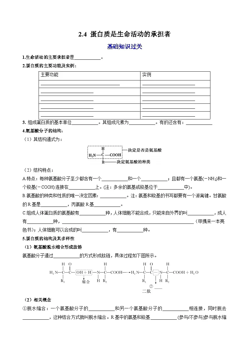 【高效课堂】高中生物2025-2026学年同步层级训练:2.4 蛋白质是生命活动的主要承担者(学生版)-人教版(2019)必修1第1页