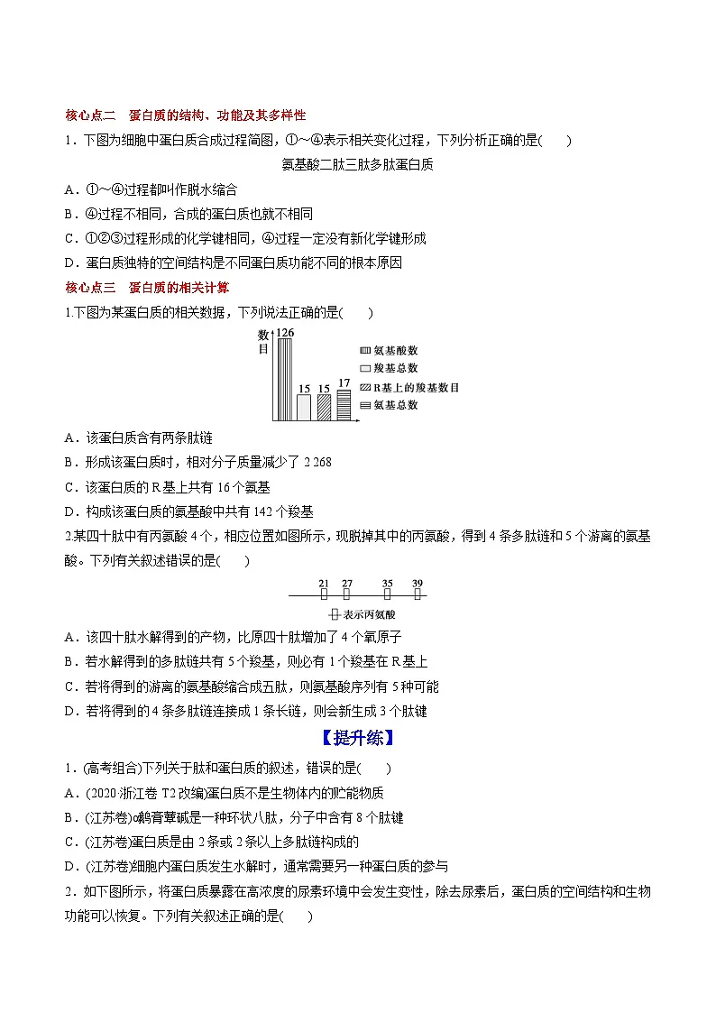 【高效课堂】高中生物2025-2026学年同步层级训练:2.4 蛋白质是生命活动的主要承担者(学生版)-人教版(2019)必修1第3页