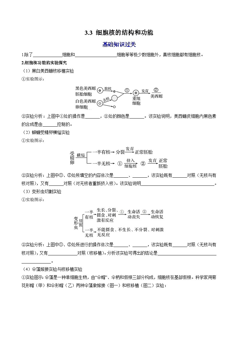 【高效课堂】高中生物2025-2026学年同步层级训练:3.3 细胞核的结构和功能(学生版)-人教版(2019)必修1第1页