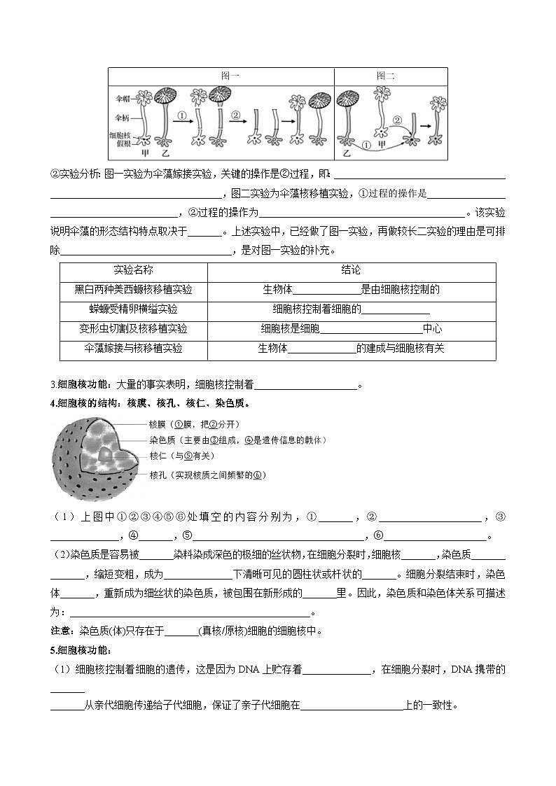 【高效课堂】高中生物2025-2026学年同步层级训练:3.3 细胞核的结构和功能(学生版)-人教版(2019)必修1第2页