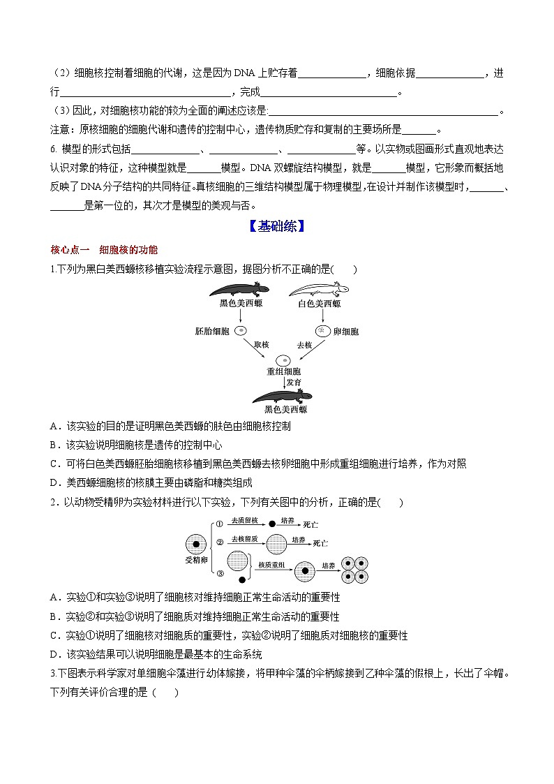【高效课堂】高中生物2025-2026学年同步层级训练:3.3 细胞核的结构和功能(学生版)-人教版(2019)必修1第3页