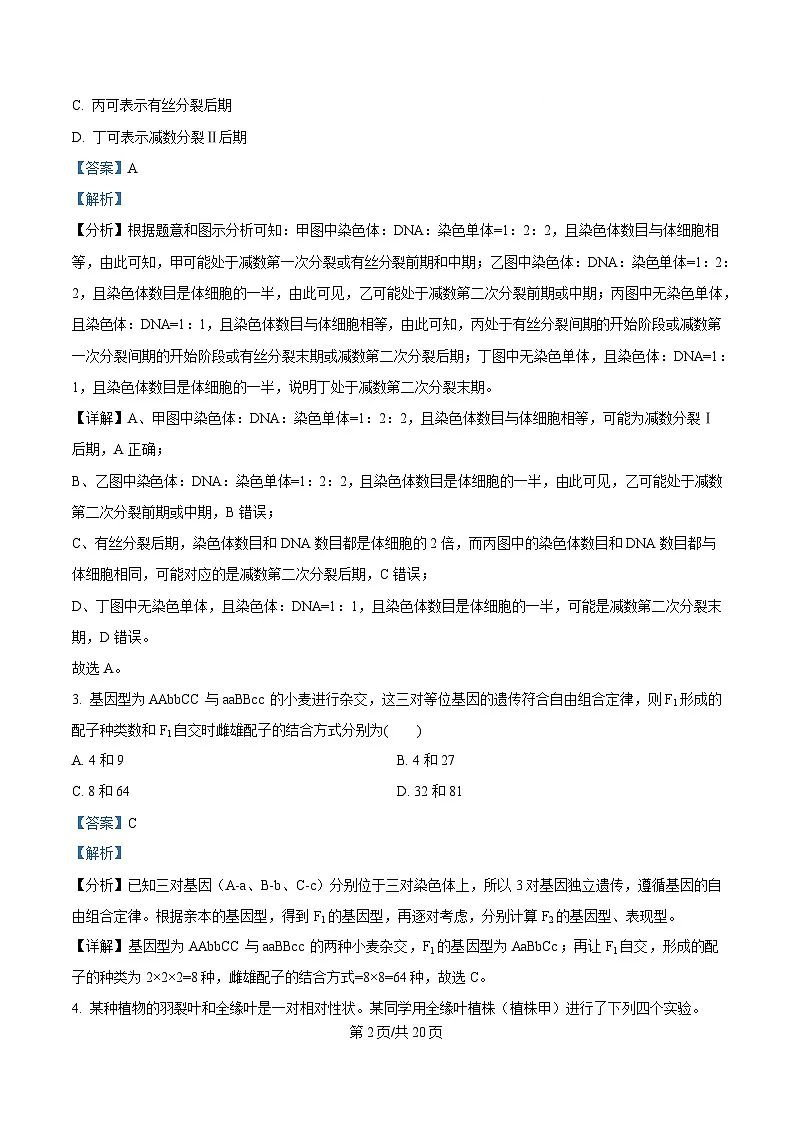 内蒙古自治区赤峰市第四中学2024-2025学年高一下学期4月月考试题生物试卷+答案第2页