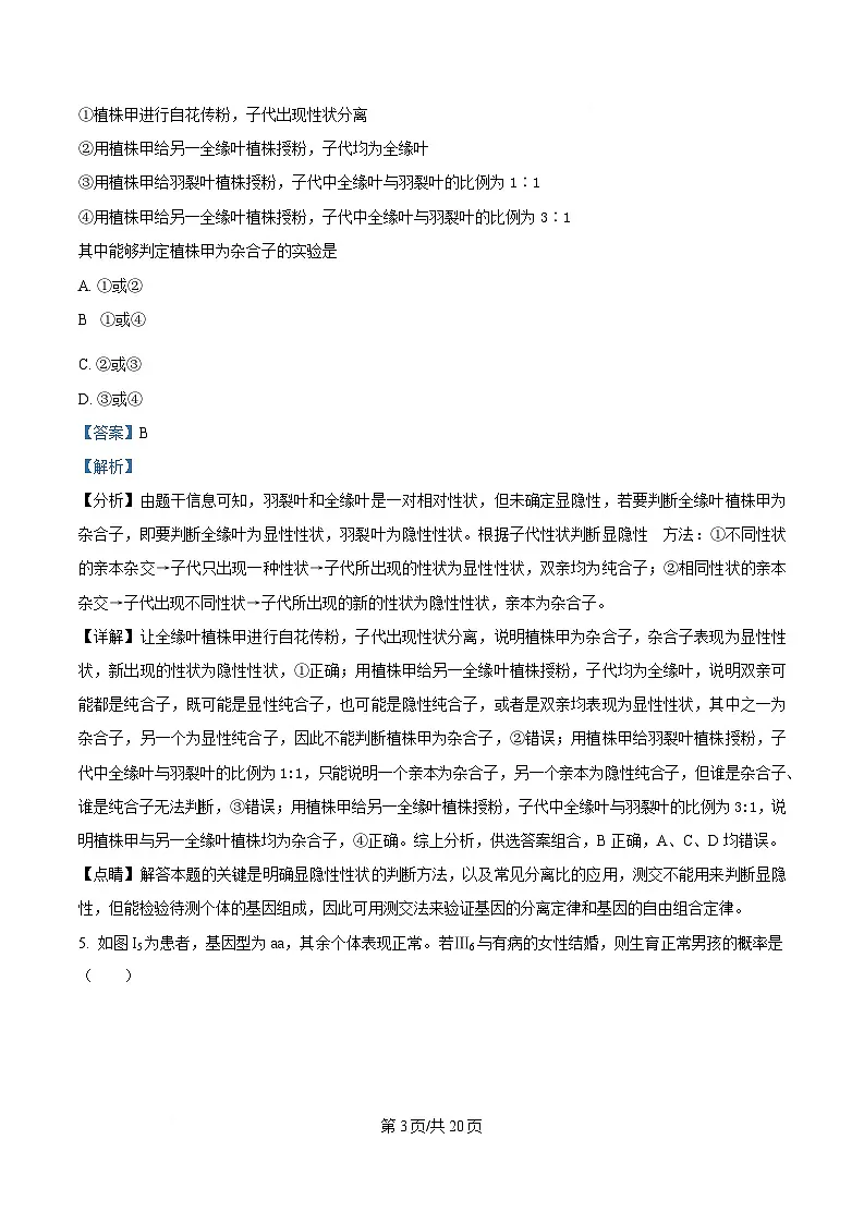 内蒙古自治区赤峰市第四中学2024-2025学年高一下学期4月月考试题生物试卷+答案第3页