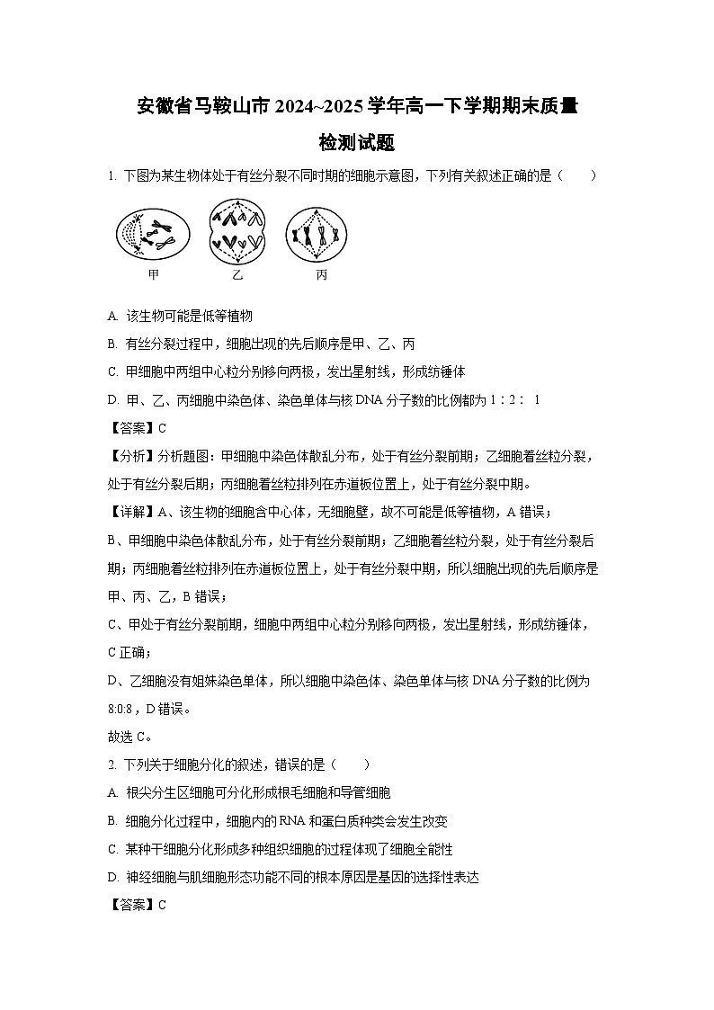 安徽省马鞍山市2024~2025学年高一下学期期末质量检测生物试题(解析版)第1页