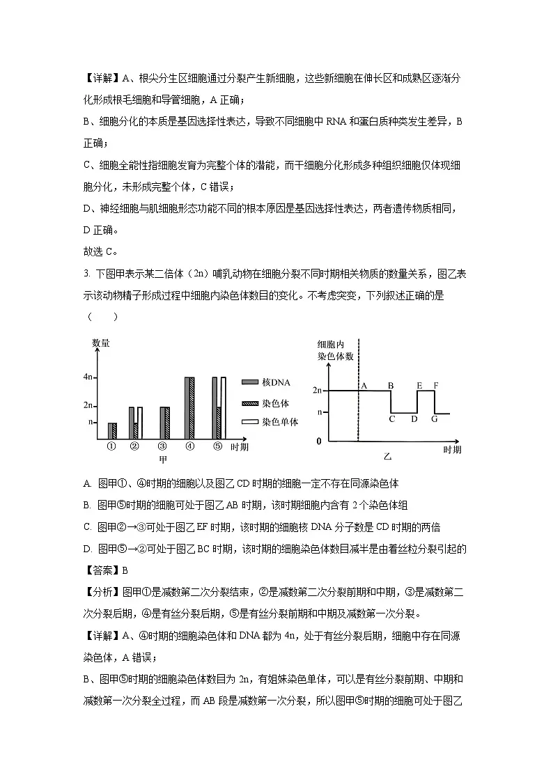 安徽省马鞍山市2024~2025学年高一下学期期末质量检测生物试题(解析版)第2页
