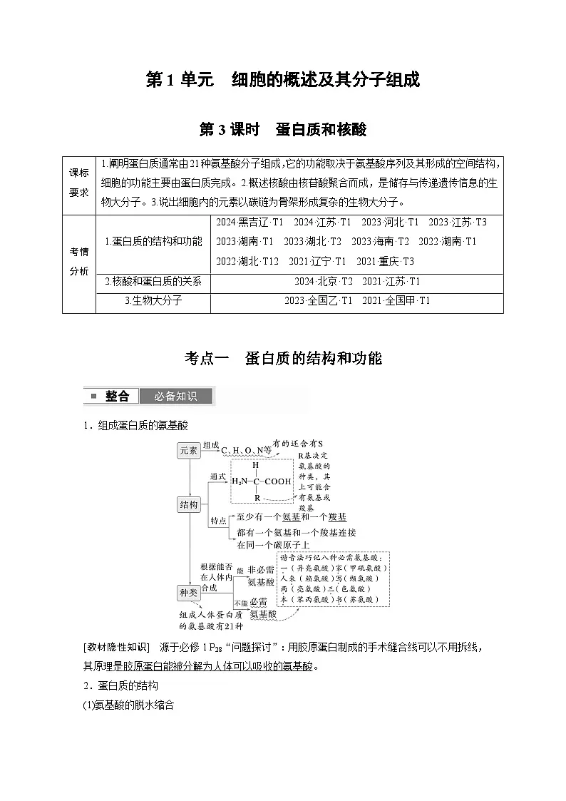 【备考2026】高考生物一轮复习资源:第1单元 第3课时 蛋白质和核酸(讲与练)(教师版)第1页