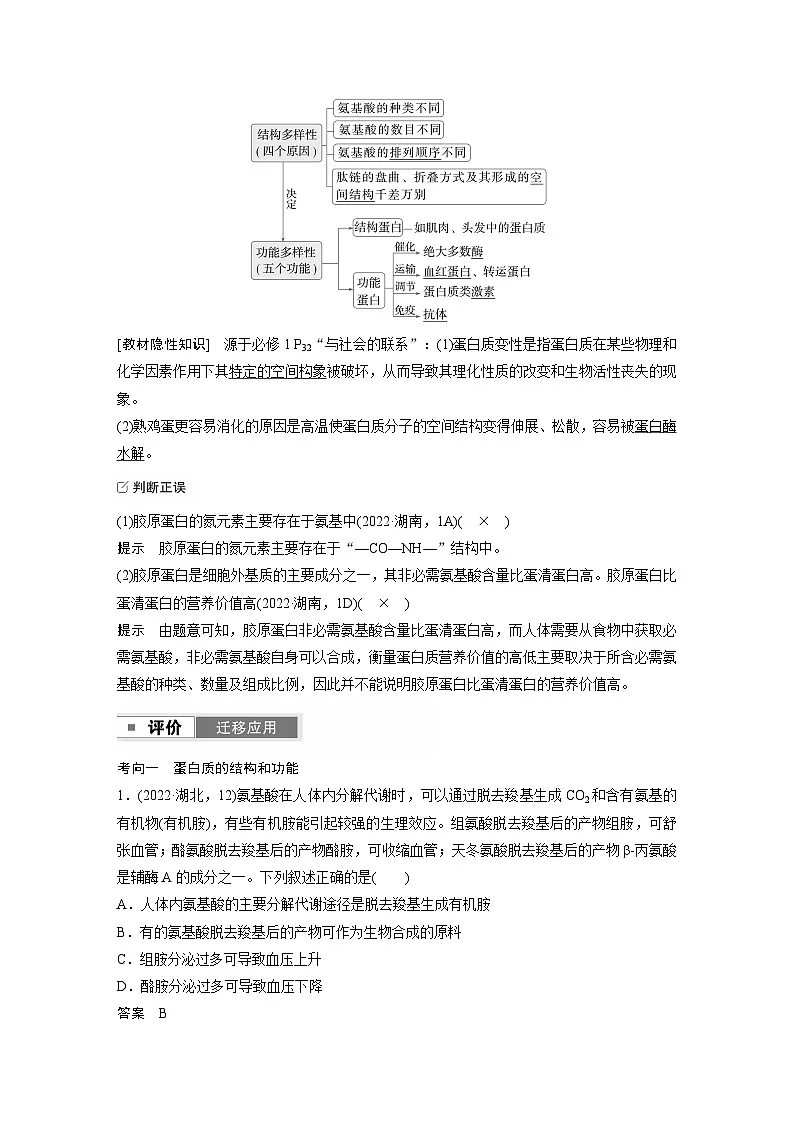 【备考2026】高考生物一轮复习资源:第1单元 第3课时 蛋白质和核酸(讲与练)(教师版)第3页