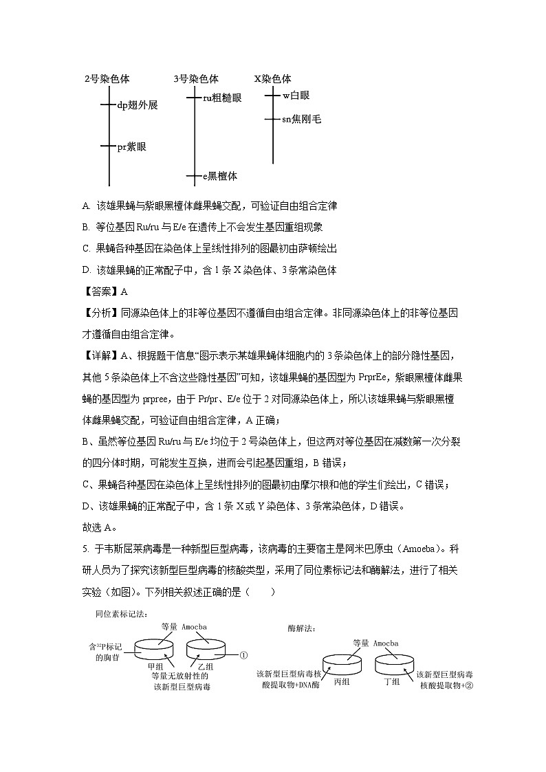 江西省上进联考2024-2025学年高一下学期期末考试生物试题(解析版)第3页