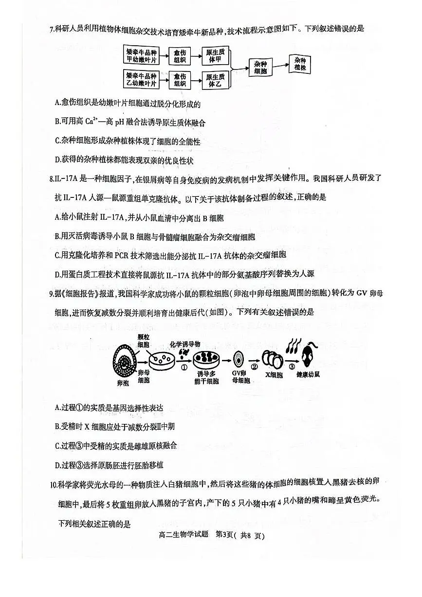 河南省信阳市2024-2025学年高一下学期4月期中考试生物试卷+答案第3页