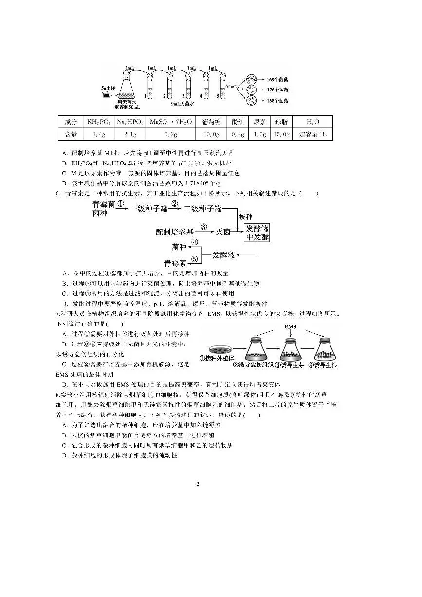 2024~2025学年山东省日照市实验高级中学高二下(一)阶段测试生物试卷(含答案)第2页