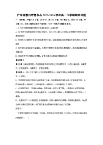 广东省惠州市惠东县2023-2024学年高一下学期期中生物试卷（解析版）