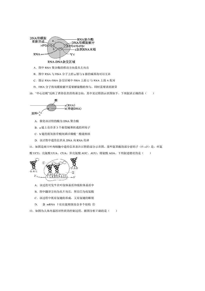 2024~2025学年河北省张家口市第一中学高一下6月月考生物试卷(含答案)第3页