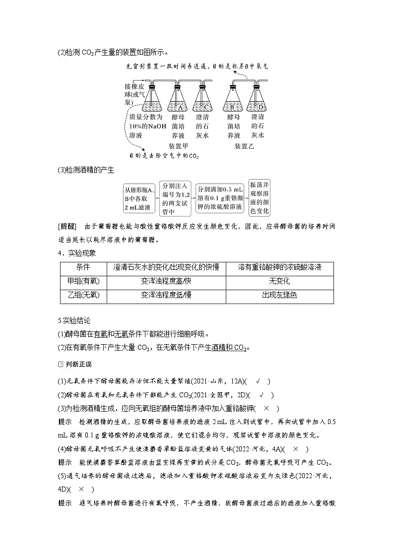 【备考2026】高考生物一轮复习资源:第3单元 第11课时 细胞呼吸的原理和应用(讲与练)(教师版)第2页