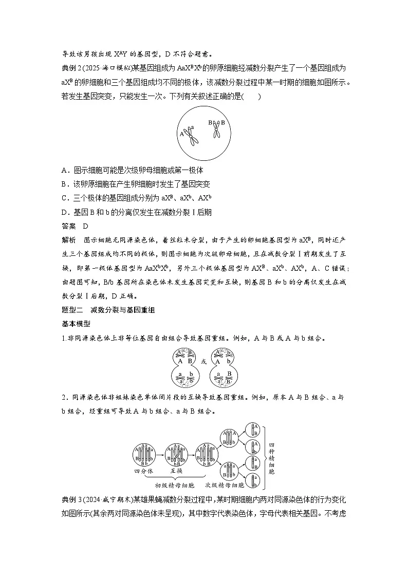 【备考2026】高考生物一轮复习资源:第4单元 专题突破4 减数分裂与可遗传变异的关系(讲与练)(教师版)第2页