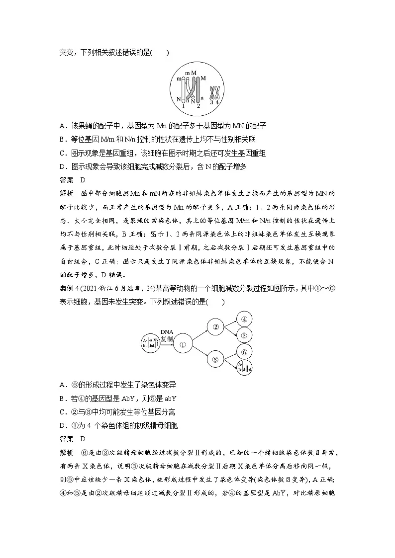 【备考2026】高考生物一轮复习资源:第4单元 专题突破4 减数分裂与可遗传变异的关系(讲与练)(教师版)第3页