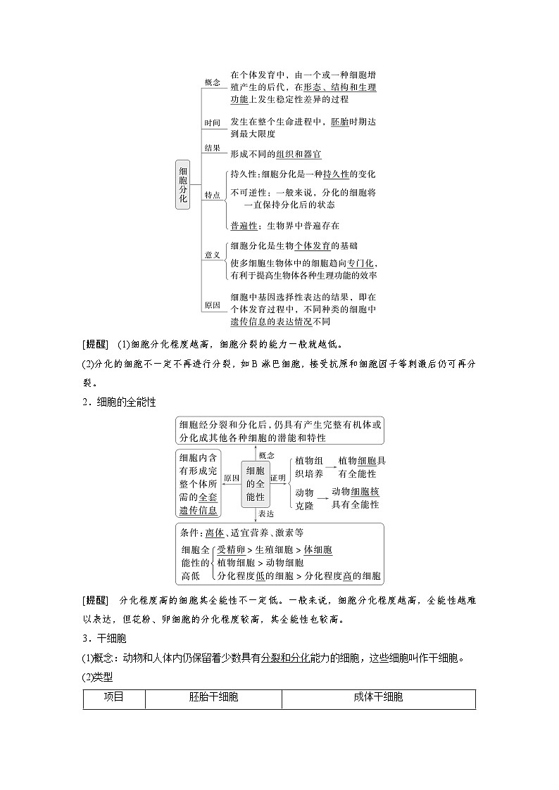 【备考2026】高考生物一轮复习资源:第4单元 第19课时 细胞的分化、衰老和死亡(讲与练)(教师版)第2页