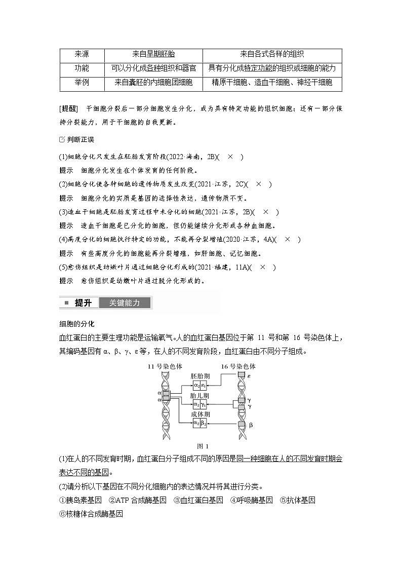 【备考2026】高考生物一轮复习资源:第4单元 第19课时 细胞的分化、衰老和死亡(讲与练)(教师版)第3页