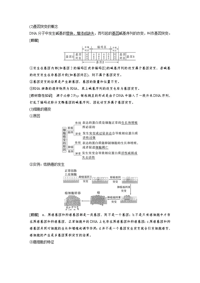 【备考2026】高考生物一轮复习资源:第7单元 第29课时 基因突变和基因重组(讲与练)(教师版)第2页